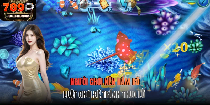 Người chơi nên nắm rõ luật chơi để tránh thua lỗ