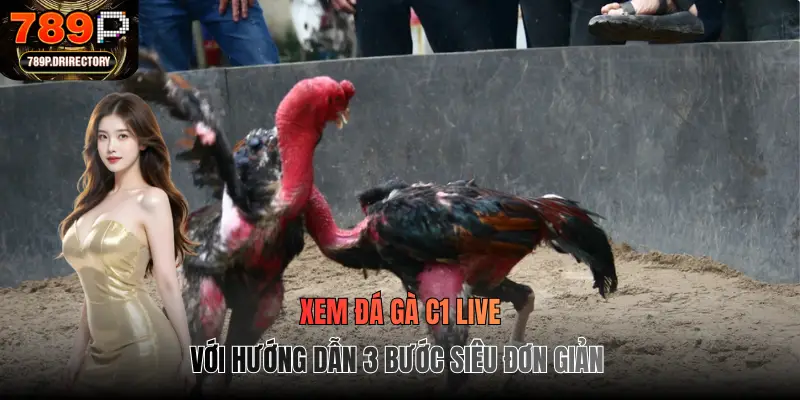 Xem đá gà C1 live với hướng dẫn 3 bước siêu đơn giản