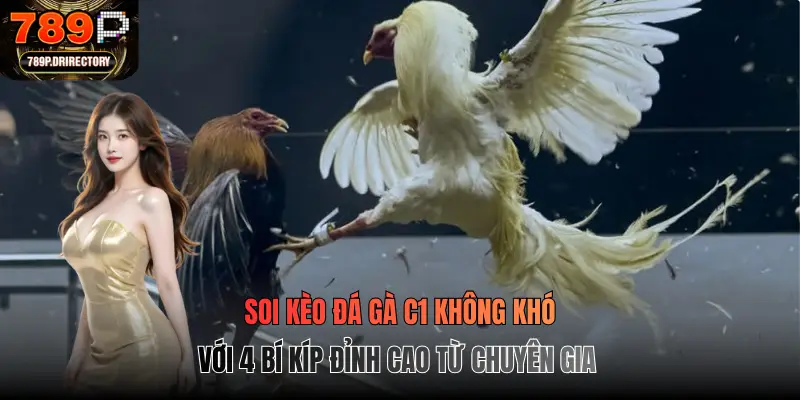 Soi kèo đá gà C1 không khó với 4 bí kíp đỉnh cao từ chuyên gia