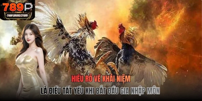 Hiểu rõ về khái niệm là điều tất yếu khi bắt đầu gia nhập môn