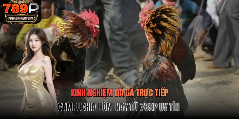 Kinh nghiệm đá gà trực tiếp Campuchia hôm nay từ 789p uy tín
