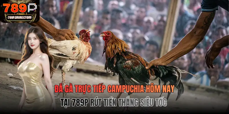 Đá gà trực tiếp Campuchia hôm nay tại 789p rút tiền thắng siêu tốc