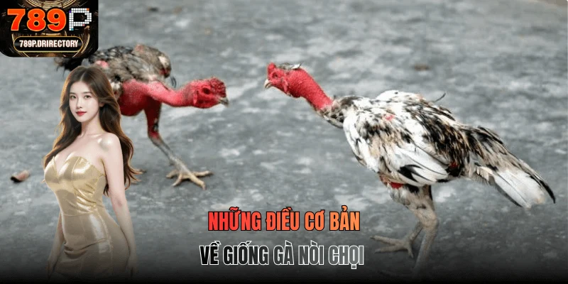 Những điều cơ bản về giống gà nòi chọi