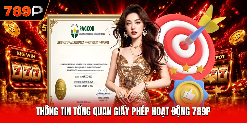 Thông tin tổng quan giấy phép hoạt động 789P